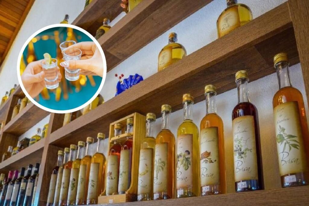 Vista panorâmica de Monte Alegre do Sul com alambiques e natureza exuberante ao fundo