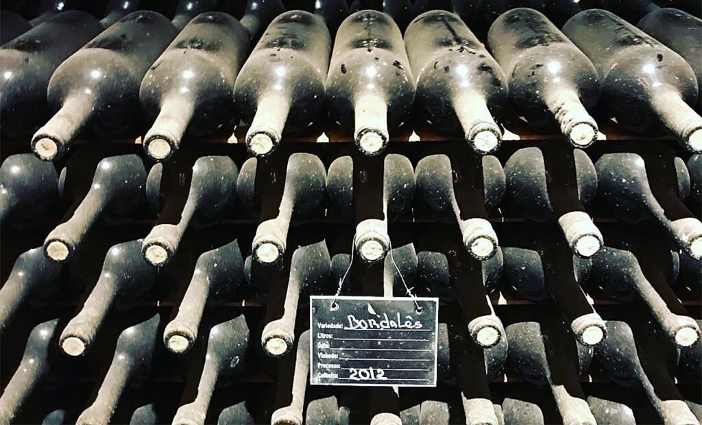 Vinícola Guaspari rodeada por plantações de café na Serra da Mantiqueira