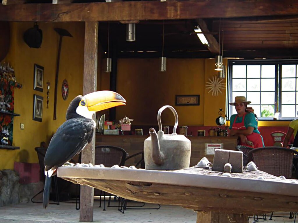 Visitantes desfrutando de um passeio na Fazenda do Chocolate em Itu, com vistas para as atrações e natureza ao redor.