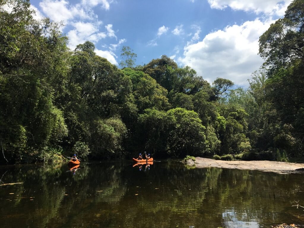 Vista panorâmica do Parque das Neblinas, mostrando a densa vegetação da Mata Atlântica